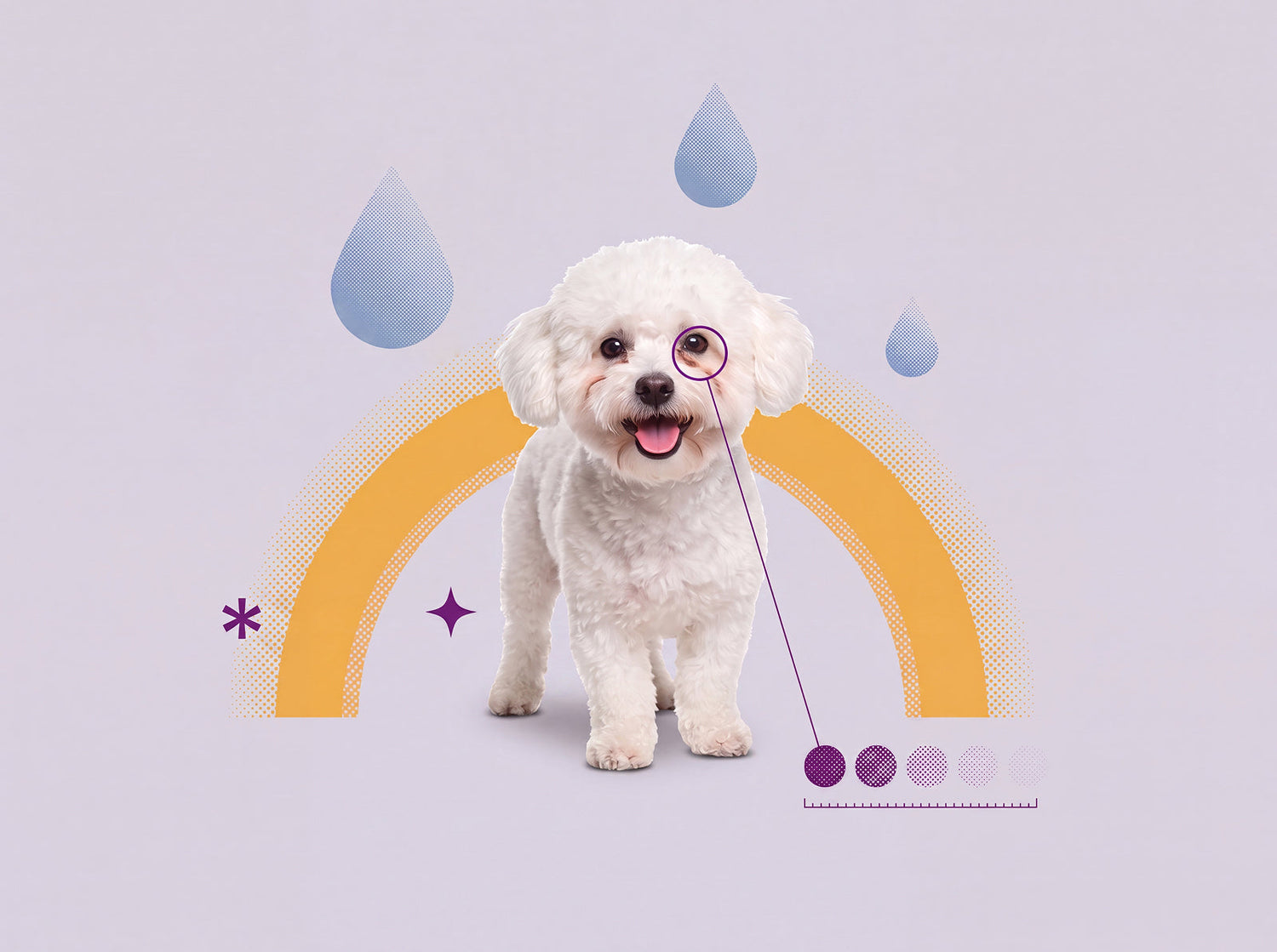 Dog Tear Stains: Why They Happen and What You Can Do About Them